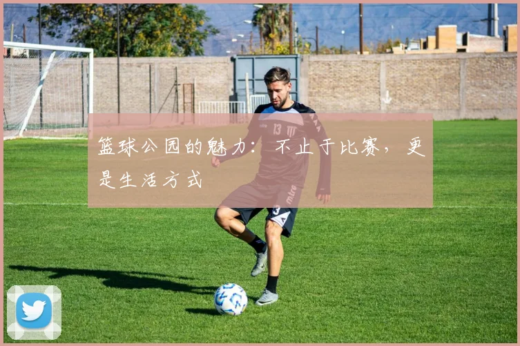 篮球公园的魅力：不止于比赛，更是生活方式