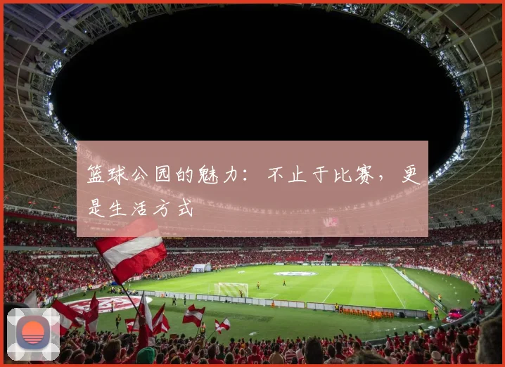篮球公园的魅力：不止于比赛，更是生活方式