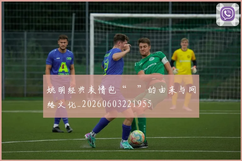 姚明经典表情包“囧”的由来与网络文化_20260603221955
