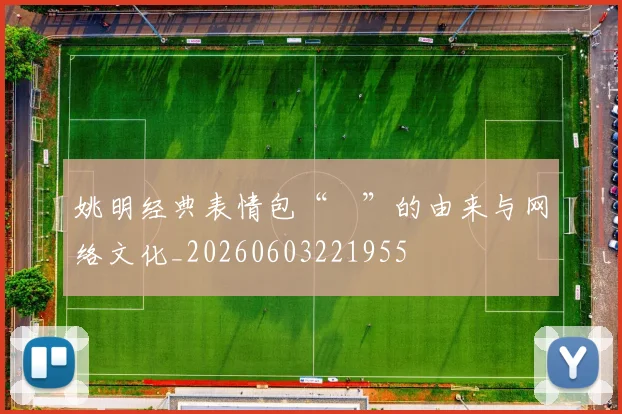 姚明经典表情包“囧”的由来与网络文化_20260603221955